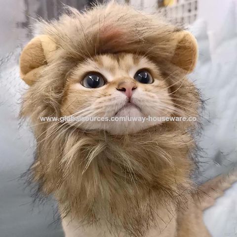 Cat Cute Cross Dressing Headgear, Lionpattern , Bear Pattern, Hat Accessories, Pet Gifts Fancy Designs - Buy China Wholesale Cat Toy $1.55 | Globalsources.com Cat Cute Cross Dressing Headgear, Lionpattern , Bear Pattern, Hat Accessories, Pet Gifts Fancy Designs - Buy China Wholesale Cat Toy $1.55 | Globalsources.com