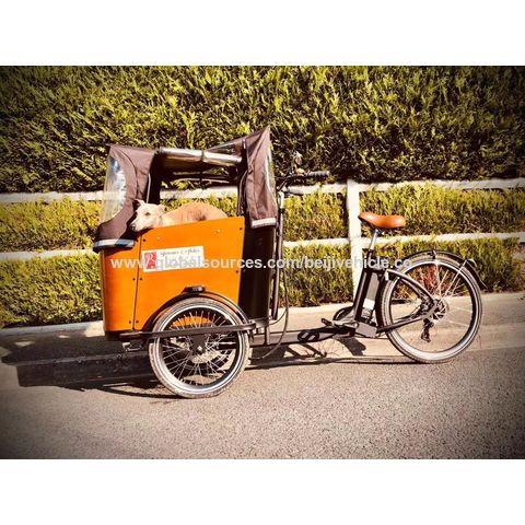 Compre Bicicleta De Carga Eléctrica De 3 Ruedas/triciclo De Carga/caja  Delantera De Triciclo De Carga y Bicicleta De Carga de China por 1480 USD