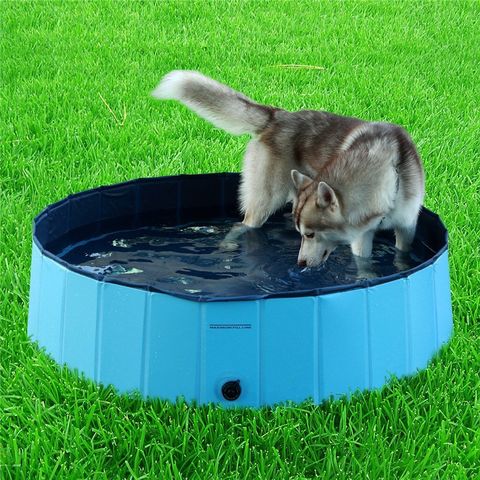 Piscina Dobrável para Cães, Banheira de PVC, Piscina Exterior para Animais de Estimação