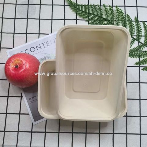 https://p.globalsources.com/IMAGES/PDT/B1195619343/Biodegradable-Disposable-food-packaging-box.jpg