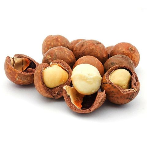 Buy Wholesale Kenya 2022 New Crop Roasted Macadamia Nuts For Sale ...