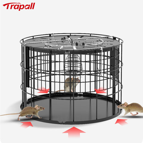 https://p.globalsources.com/IMAGES/PDT/B1195857988/Automatic-Multi-catch-Mouse-Trap-Cage.jpg