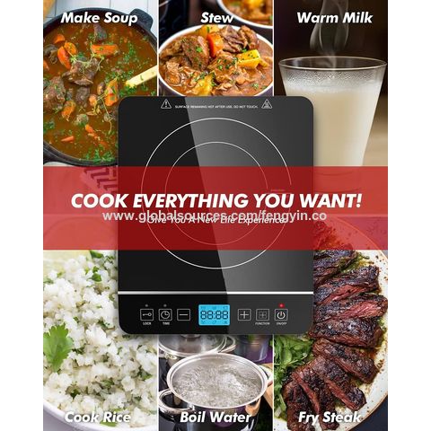 110/120v 15a Lcd Display Induction Cooker For Home Resturant Apartment ...