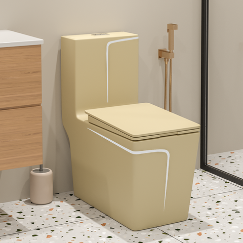 Ceramic Toilet Sanitary Ware