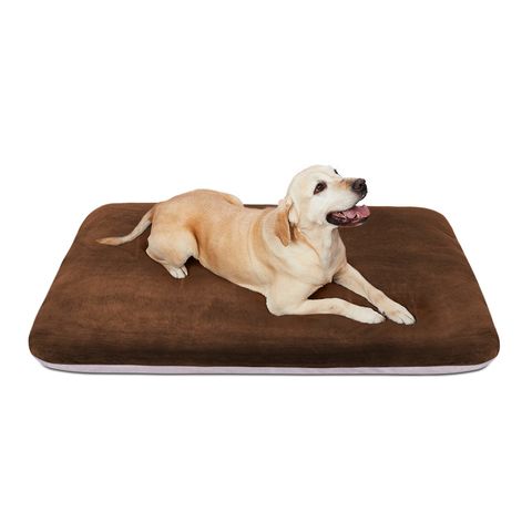 Jumbo dog 2024 beds on sale