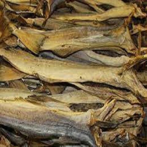 Buy Wholesale Germany High Quality Dry Stock Fish / Dry Stock Fish Head ...