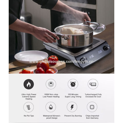 Family induction online cooker