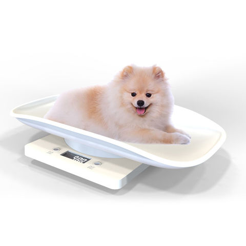 pet scale digital wholesales factory