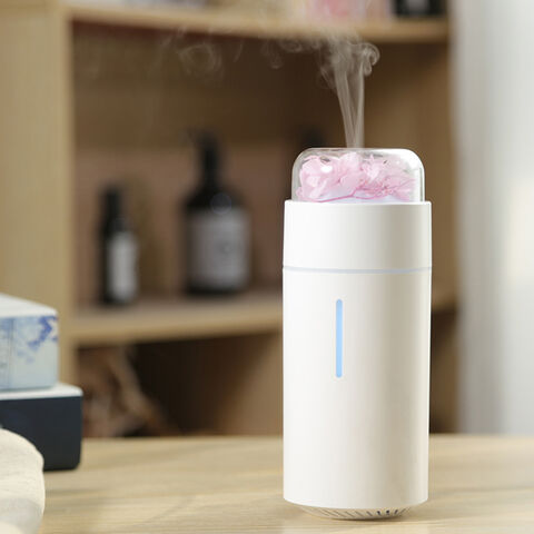 Modern Ultrasonic Fragrance Diffuser High Quality Flower Silent ...