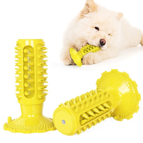 Dog Toys Squeaky Toys Cute Food Bite-Resistant Clean Dog Chew Puppy Training  Toy - China Dog Toy and Cute Toy price