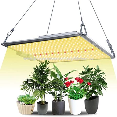 Buy Wholesale China Factory Price Led Grow Light Board With Samsung ...