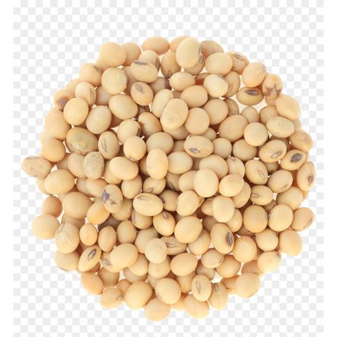 1,102 Bag Soybean Stock Photos - Free & Royalty-Free Stock Photos from  Dreamstime