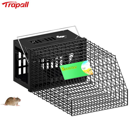 https://p.globalsources.com/IMAGES/PDT/B1196954493/Mouse-trap.jpg