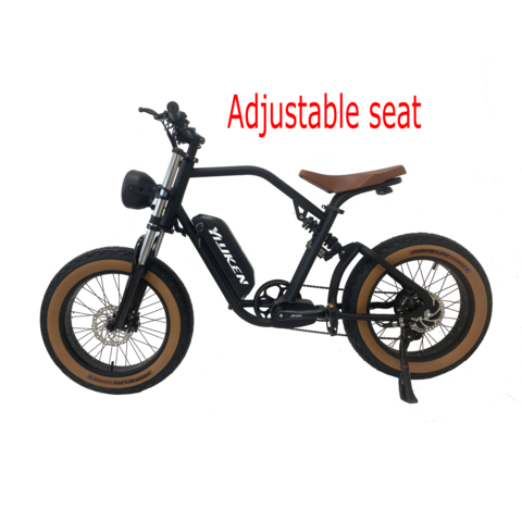 Fat Tire Electric Bike 20 Inch 36v 250w Ebike Scooter 350w 48v