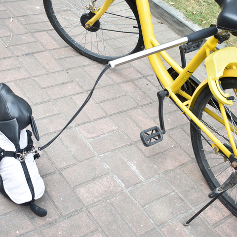 Correa de Bicicleta para Mascotas, Suministros para Bicicletas, Barra para Perros, Acero Inoxidable for sale at factory direct price