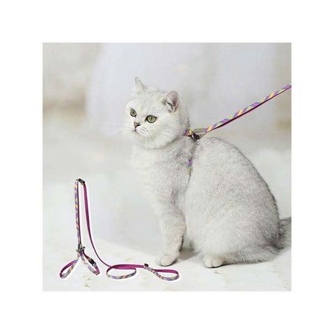 Harnais pour chat en coton gris