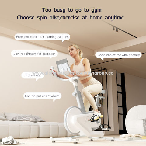 Kg Flywheel Economic Home Use Spinning Bike $99 Wholesale