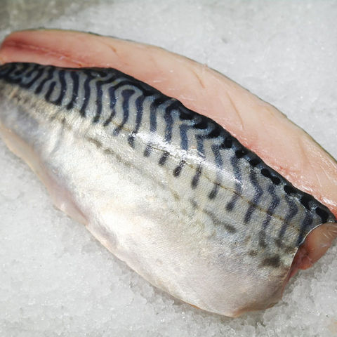 Wholesale shop fish suppliers