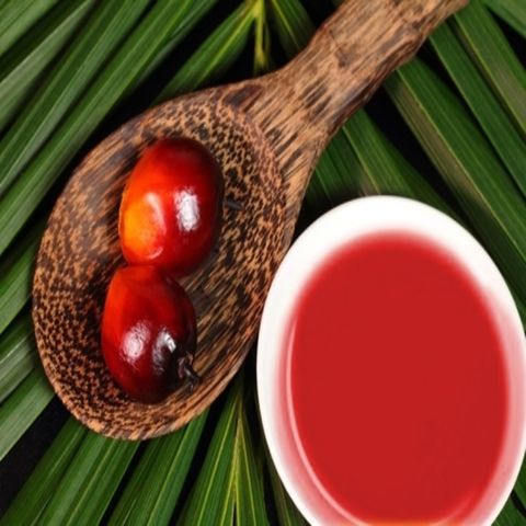 Buy Wholesale Germany Rbd Palm Oil Cheap Price 100 Purity Crude Palm ...