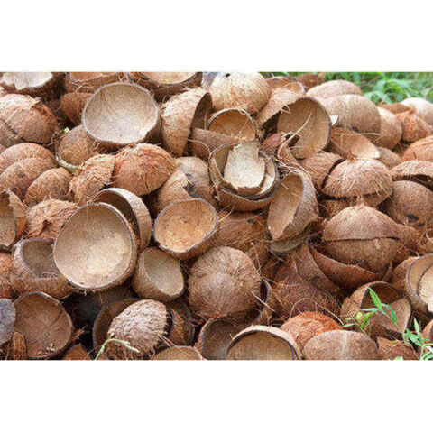 Coconut Shell Shell Coconut Fiber Coconutfiber 