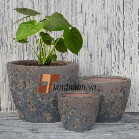 hanging plant artificial 20” Baby Tear Artificial Plant in Hanging Basket