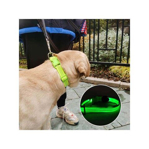 Buy Wholesale China Maychan Premium Heavy Duty Soft Adjustable Nylon  Webbing Padded Training Custom Luxury Cat Pet Dog Collar & Pet Collars at  USD 3.8