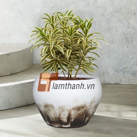 https://p.globalsources.com/IMAGES/PDT/B1197839539/Indoor-Planters-Ceramic-Pots.jpg