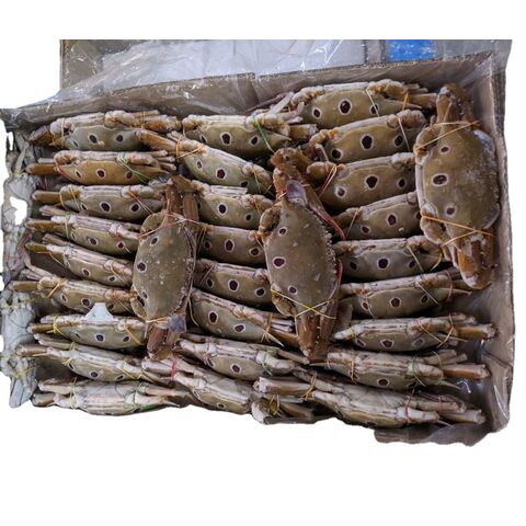 Kepiting Lumpur Beku Segar, Kaki Kepiting Gaya Raja, Berat Kemasan for sale at factory direct price