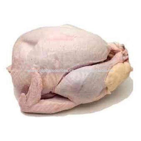 Buy Wholesale South Africa Wholesale Halal Turkey Frozen /breast/ Wings ...