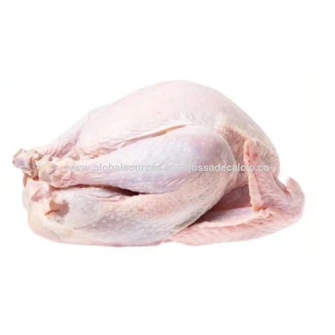 Buy Wholesale South Africa Wholesale Halal Turkey Frozen /breast/ Wings ...