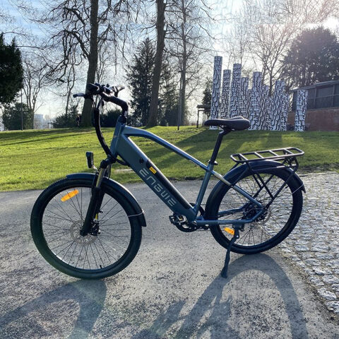 Myatu X7 E Mountain Bike Reviews Hot Selling 250W Myatu Mountain E