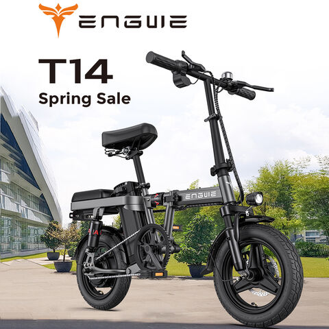 Compre Bicicleta Eléctrica Plegable De 14 Pulgadas Para Adulto y Mini Bicicletas  Eléctricas de China por 300 USD