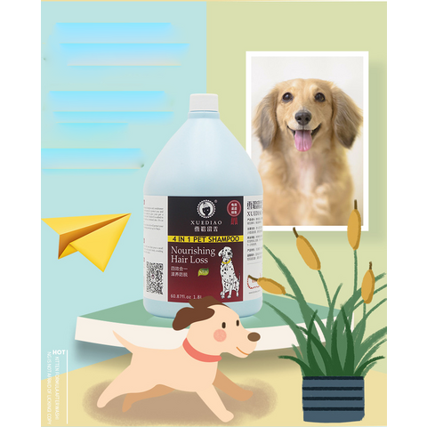 Buy Standard Quality China Wholesale Pet Body Wash Cat Dog Body Wash Pet  Bath Deodorant Body Wash $12.99 Direct from Factory at Zhimei (shenyang)  International Trade Co., Ltd.