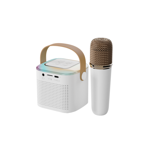 Buy Wholesale China Oem Party Gift Bluetooth Speaker Tws Karaoke ...