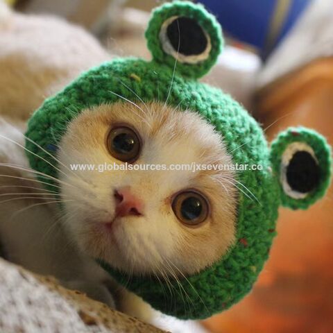 Buy China Wholesale Funny Pet Hat Handmade Knitted Cat Hat For Small Dogs  And Cats & Handmade Cat Hat $2.8