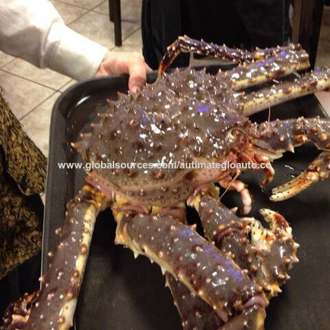 Buy Wholesale South Africa Red Alaskan King Crab / Live King Crab