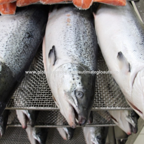 Norwegian Wholesale Fresh Fish Exporters