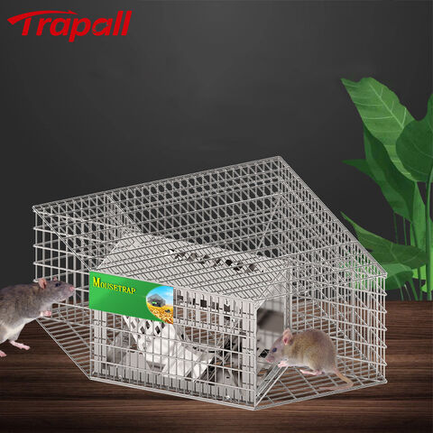Humane Multi-Catch Galvanized Steel Automatic Rat Rodent Control Mouse Trap  Cage - China Farm and Family price