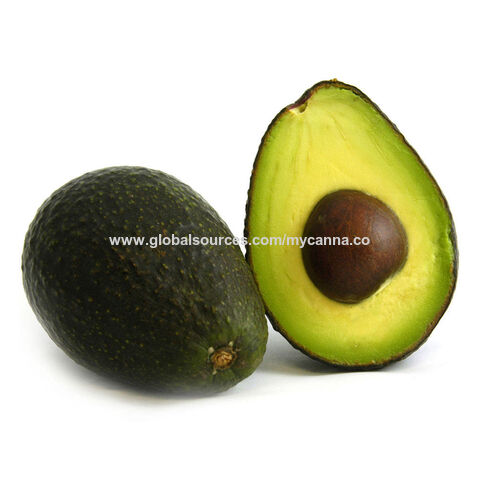 Fresh Tropical Avocado, Each