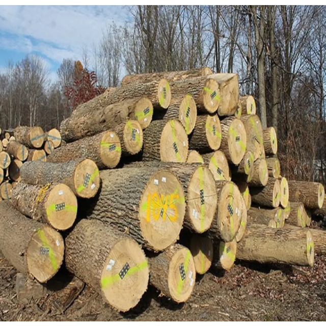 Buy Wholesale United States Natural Hard Maple Wood Logs u0026 Maple Logs at  USD 13 | Global Sources