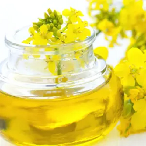 Wholesale High Quality High Vitamin D Refined Sunflower Black Rapeseed ...