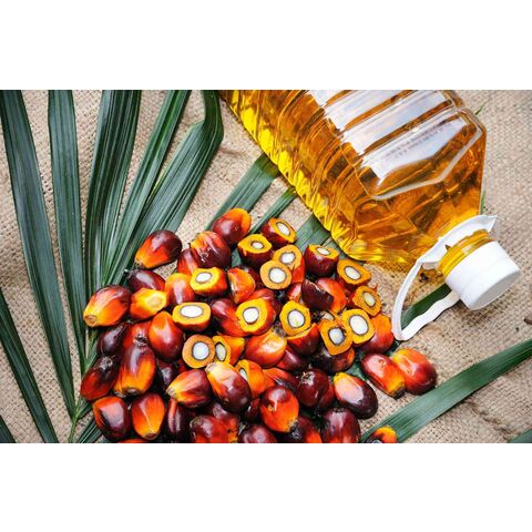 Buy Wholesale United States Halal Pure Vegetable Palm Cooking Oil