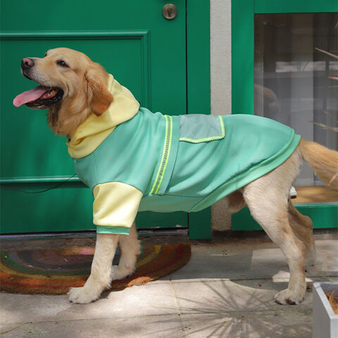 Louis Vuitton dog tracksuit,pet clothes - China Louis Vuitton dog tracksuit,pet  clothes Supplier,Factory - Guangzhou… in 2023