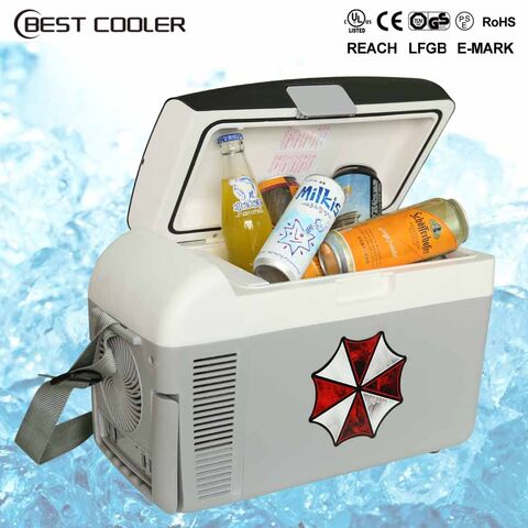 Buy Wholesale China Mini Fridge For Bedroom, Car, Office, Camping -  Portable 10l Cola Can Car Refrigerator & Mini Fridge at USD 44