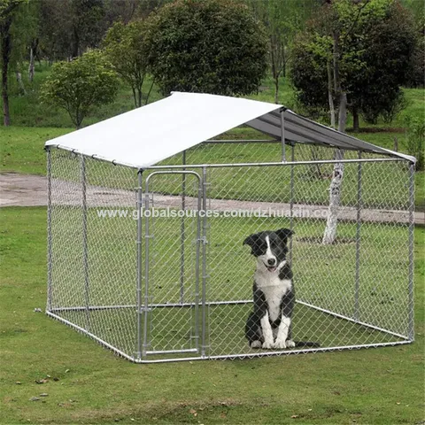 Dog chain link fence for sale best sale