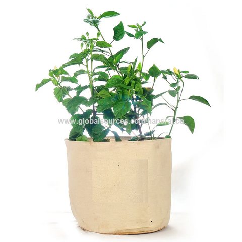 https://p.globalsources.com/IMAGES/PDT/B1200941566/breathable-reusable-cotton-grow-bag.png