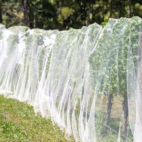 Agriculture Gardening Anti Insect Net For Plants Protection Anti Aphid Mesh  Net Shandong Big Gold Manufacturer - Buy China Wholesale Insect Net $0.1