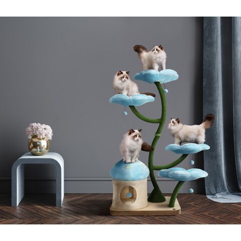 Étagère d'escalade murale pour chat, escalier à quatre marches avec poteau  à gratter en sisal, tour d'arbre pour chats, plate-forme de saut, meubles  pour animaux de compagnie