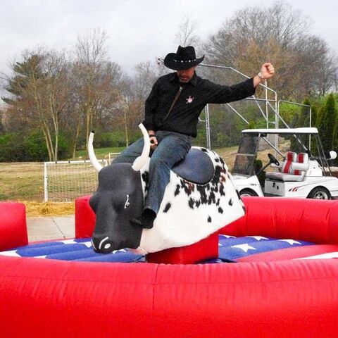 inflatable bull ride for sale