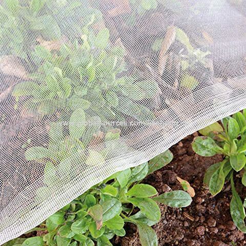 Best Price Vegetables Insect Net Screen Mesh Anti Aphid Net For Gardening  Plants Protection $0.1 - Wholesale China Insect Net at factory prices from  Shandong Lianhong Plastic Co., Ltd.